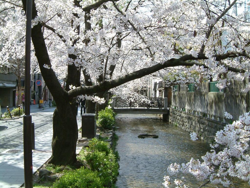 Hotel Ponto Kyoto Dış mekan fotoğraf